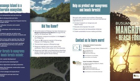 C3-Mangroves-and-Beach-Forests-Brochure-1200x601