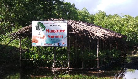 Mangrove-cutters-turned-fish-wardens-now-protect-the-mangroves-of-Siargao-Island