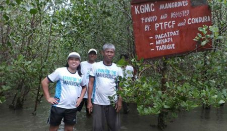 mangroves-of-condura-runners-growing-steadily-in-zamboanga-sibugay-1