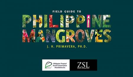 ptfcf-launches-manual-for-mangrove-rehabilitation-to-support-ecosystems-rehabilitation-in-yolanda-hit-areas-1